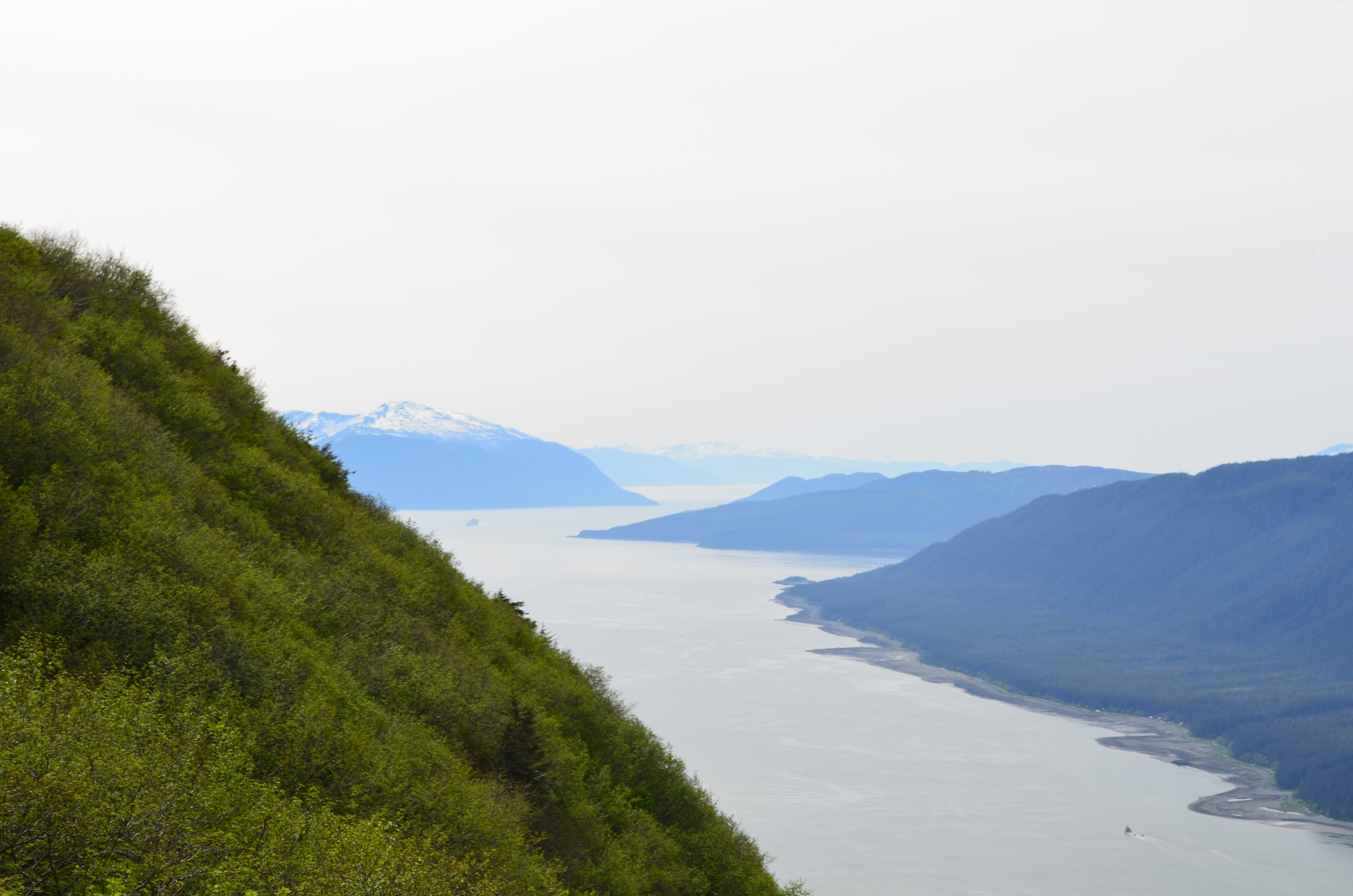 ./2017/08 - Alaska Cruise/08 - Juneau/DSC_0910.JPG